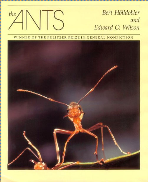 the ants portada del libro