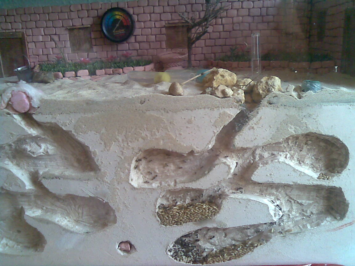 Mi peque�o jardin