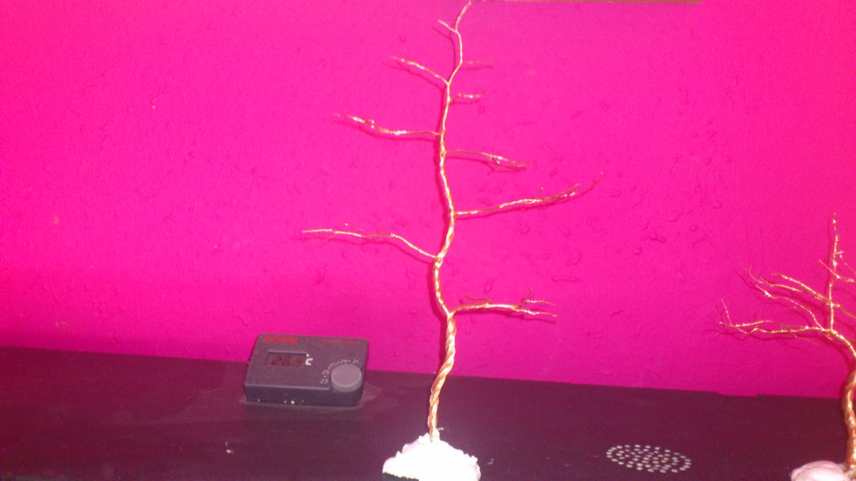 arbol alambre
