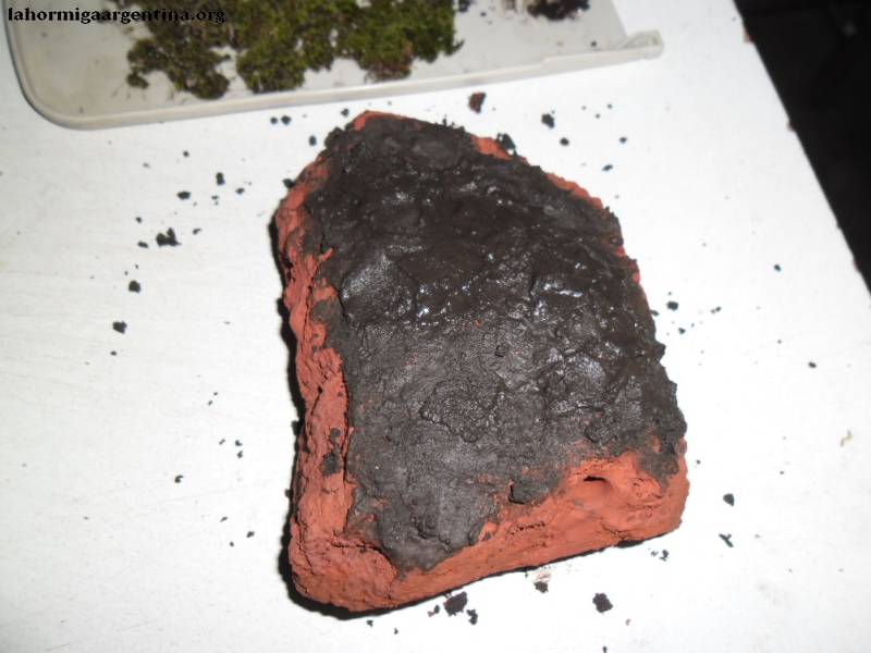 Ladrillo enlodado
