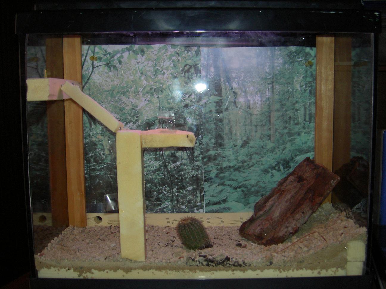 Hormiguacuario messor