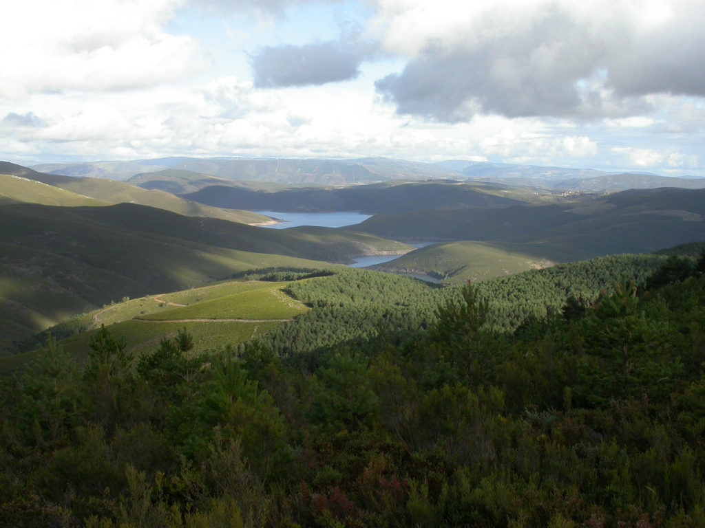 invernadeiro7