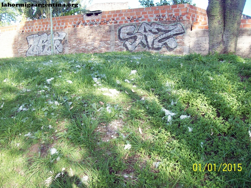 Eco_recuperado_1