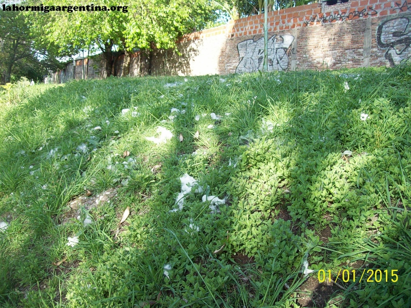 Eco_recuperado_2
