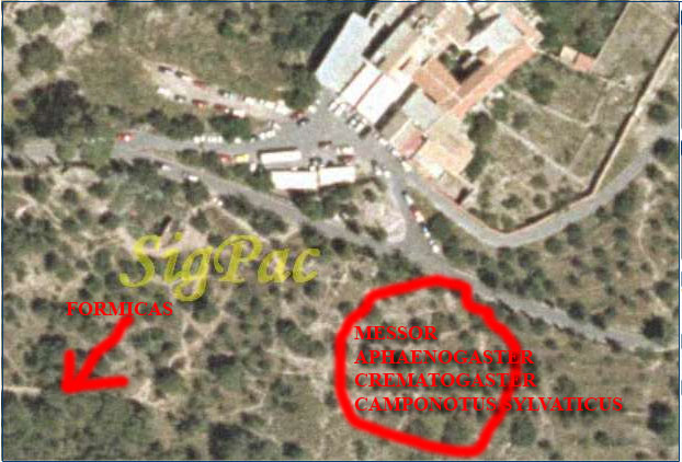 Hermita de la Luz - Carrascoy.