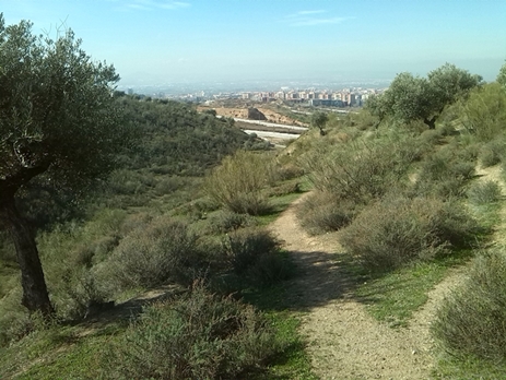 Ecosistemas Naturales