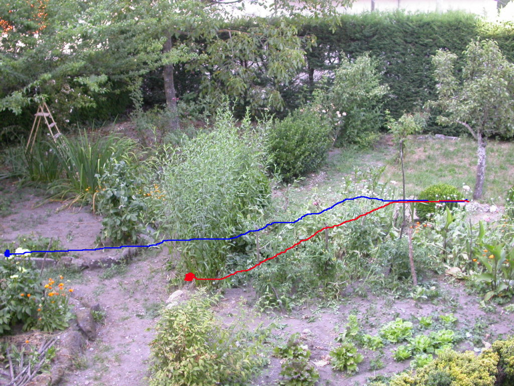 JardinConPolyergus4