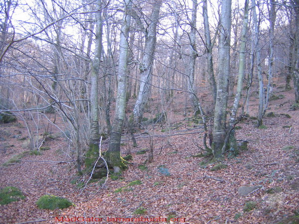 San Miguel de Aguayo 1