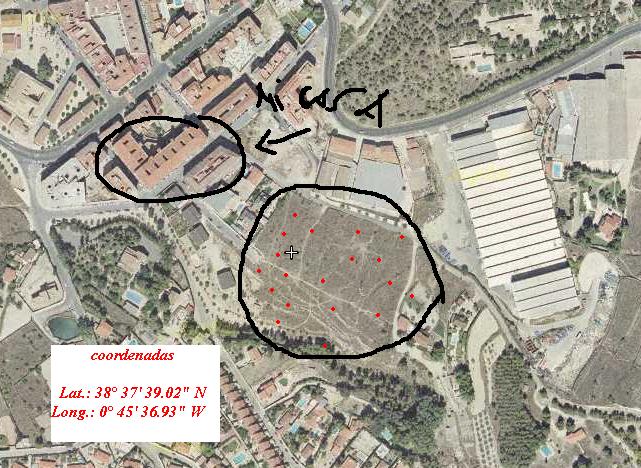 distribucion aphas dulcinae