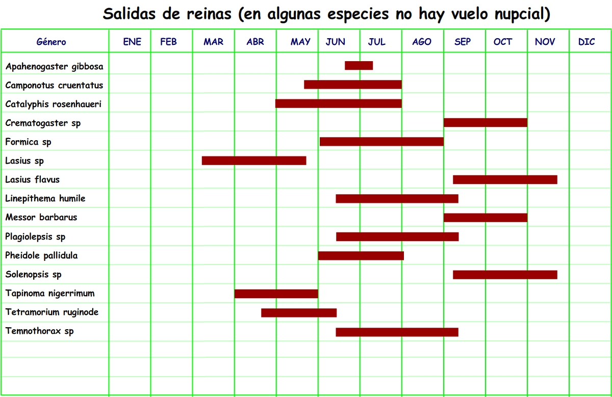 cuadro salidas de reinas