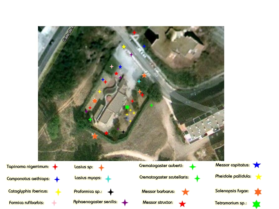 ix mapa_estudio de campo