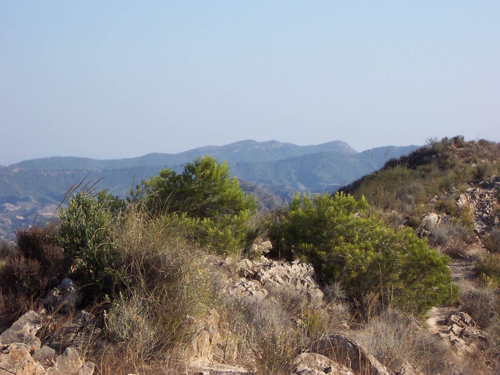 Vista desde lo ms alto de la montaita "El Miravete"