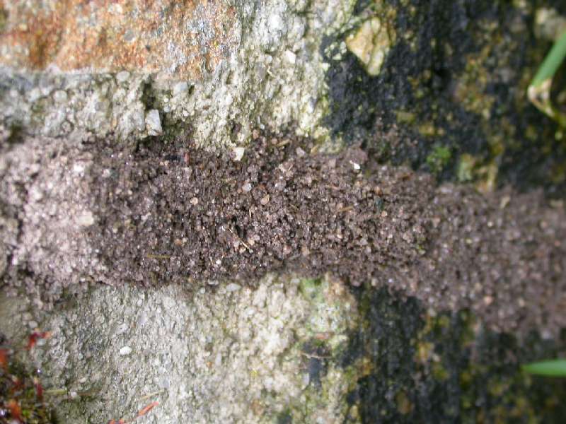 TunelVertical-2