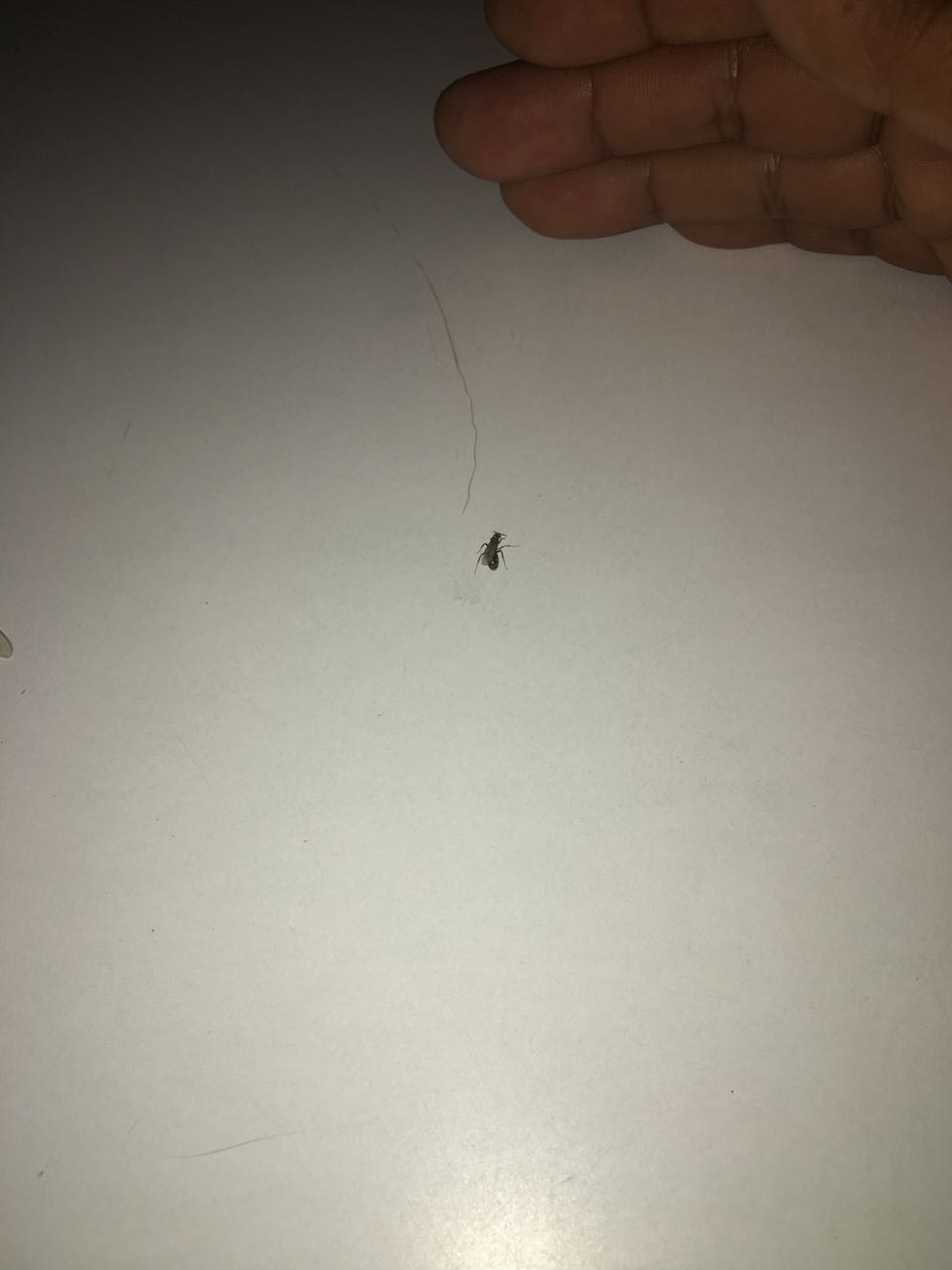 Ayuda a identificar