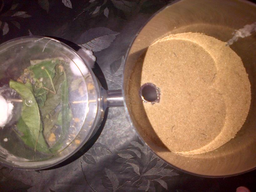 BoteAcro