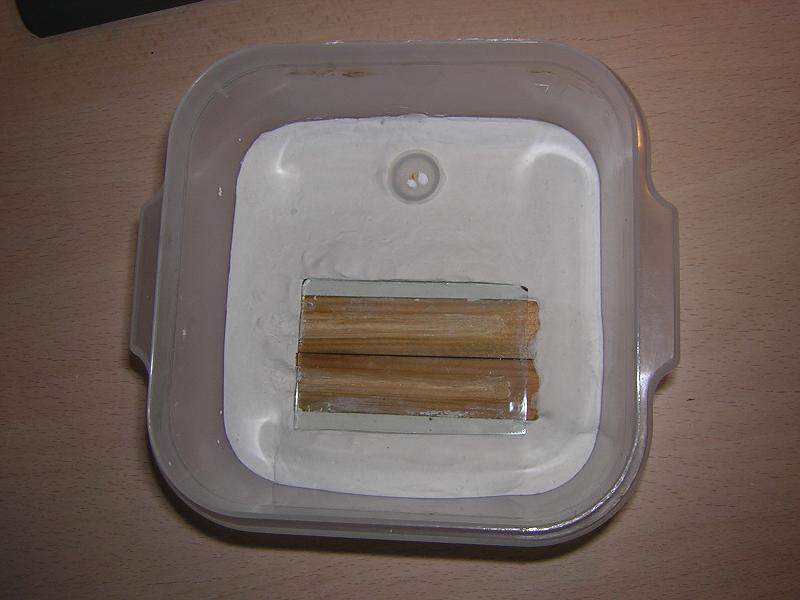 Hormiguero para Camponotus truncatus.