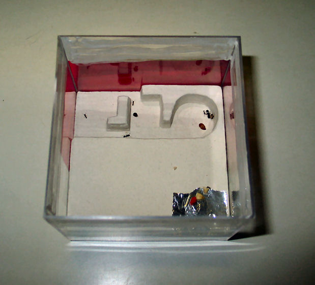 Hormiguero para Tetramorium ruginode en caja Resopal