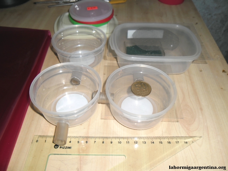 Botes para Acromyrmex 4