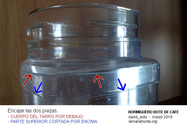 Hormiguero_bote_cafe_2