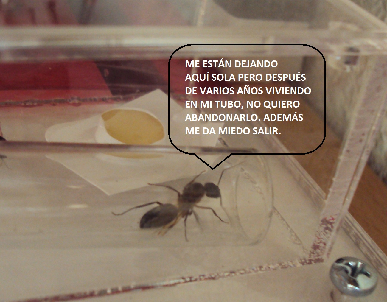 Me da miedo salir