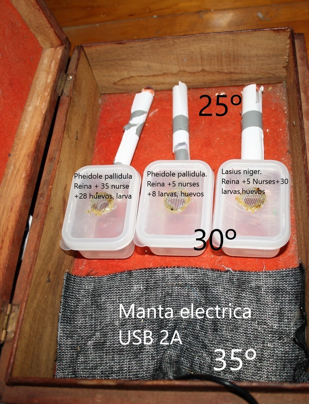 caja