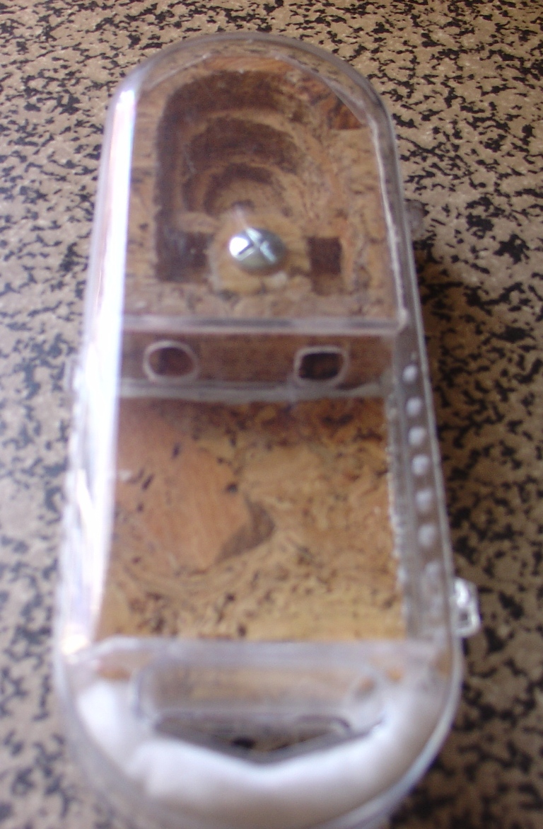 messor en gel proteico