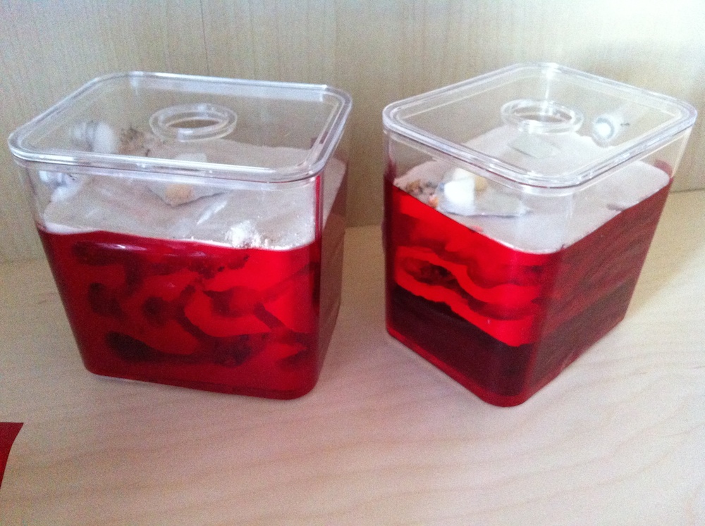 antcubicks caseros