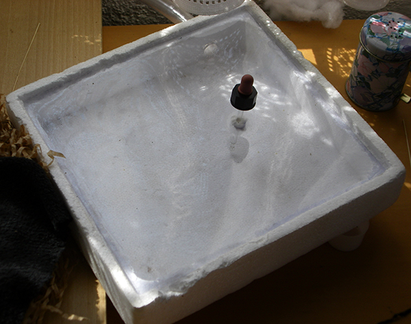 caja de forrajeo cruentatus