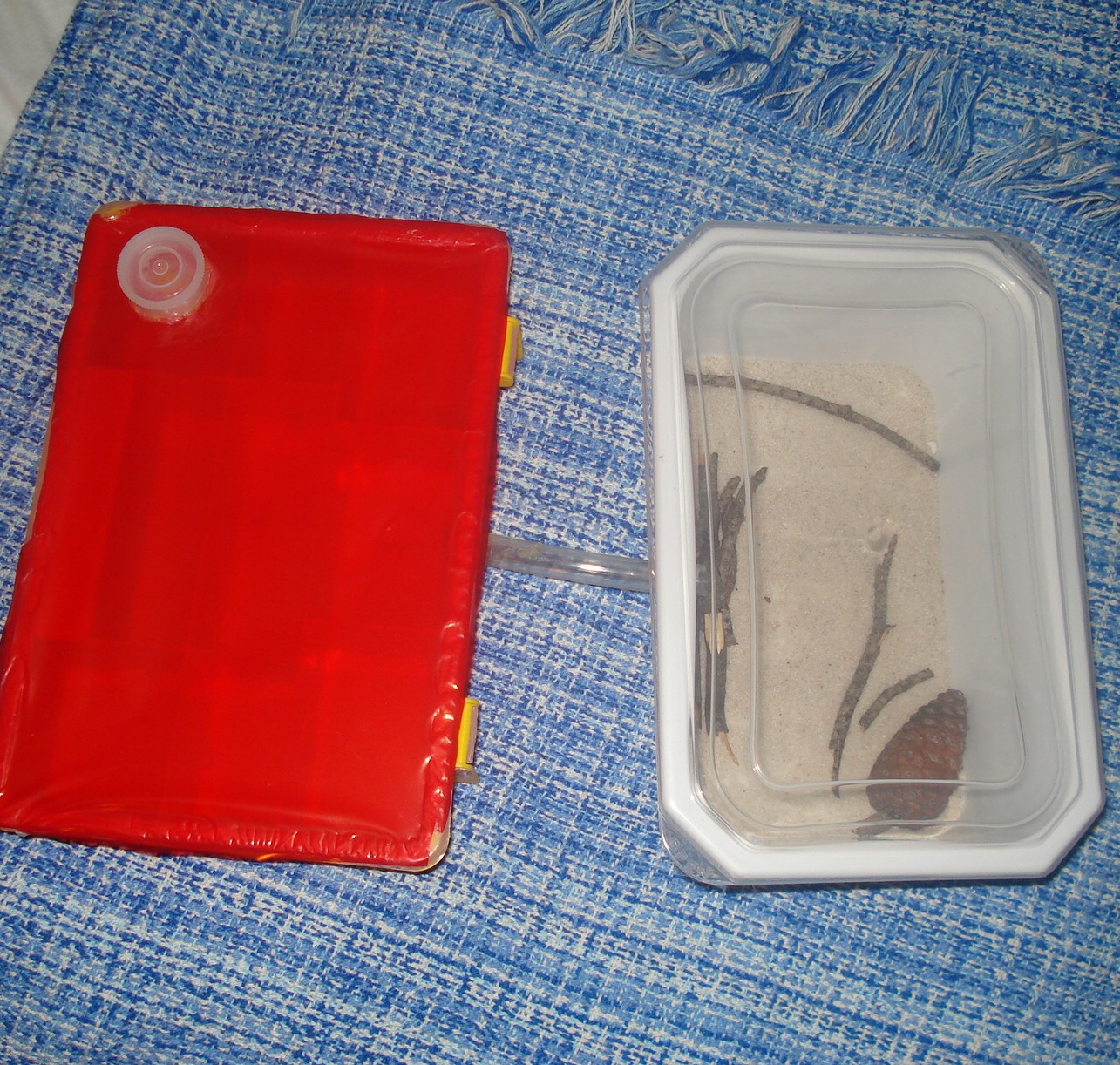 caja divisiones 3