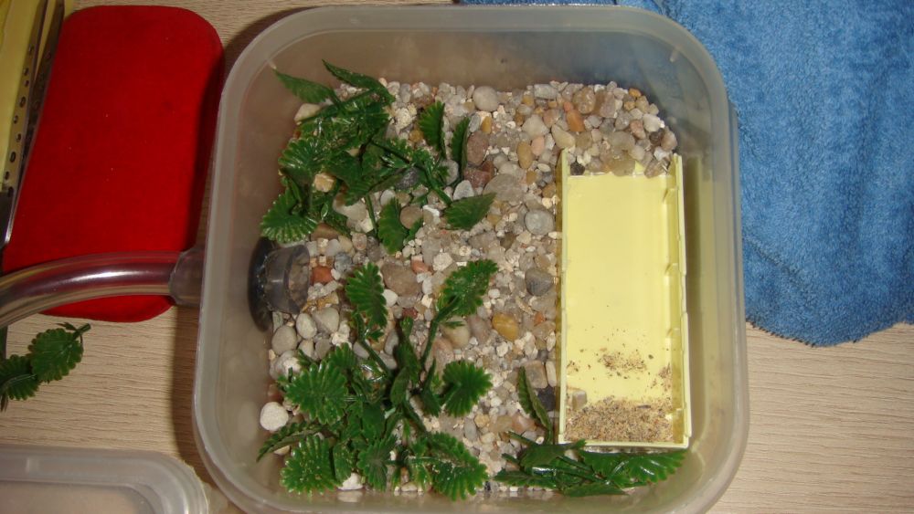 caja de fprrage