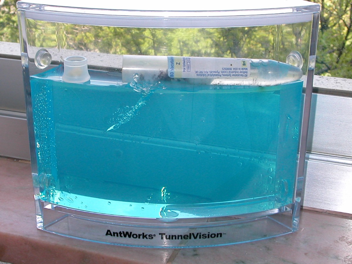 tunelvision1