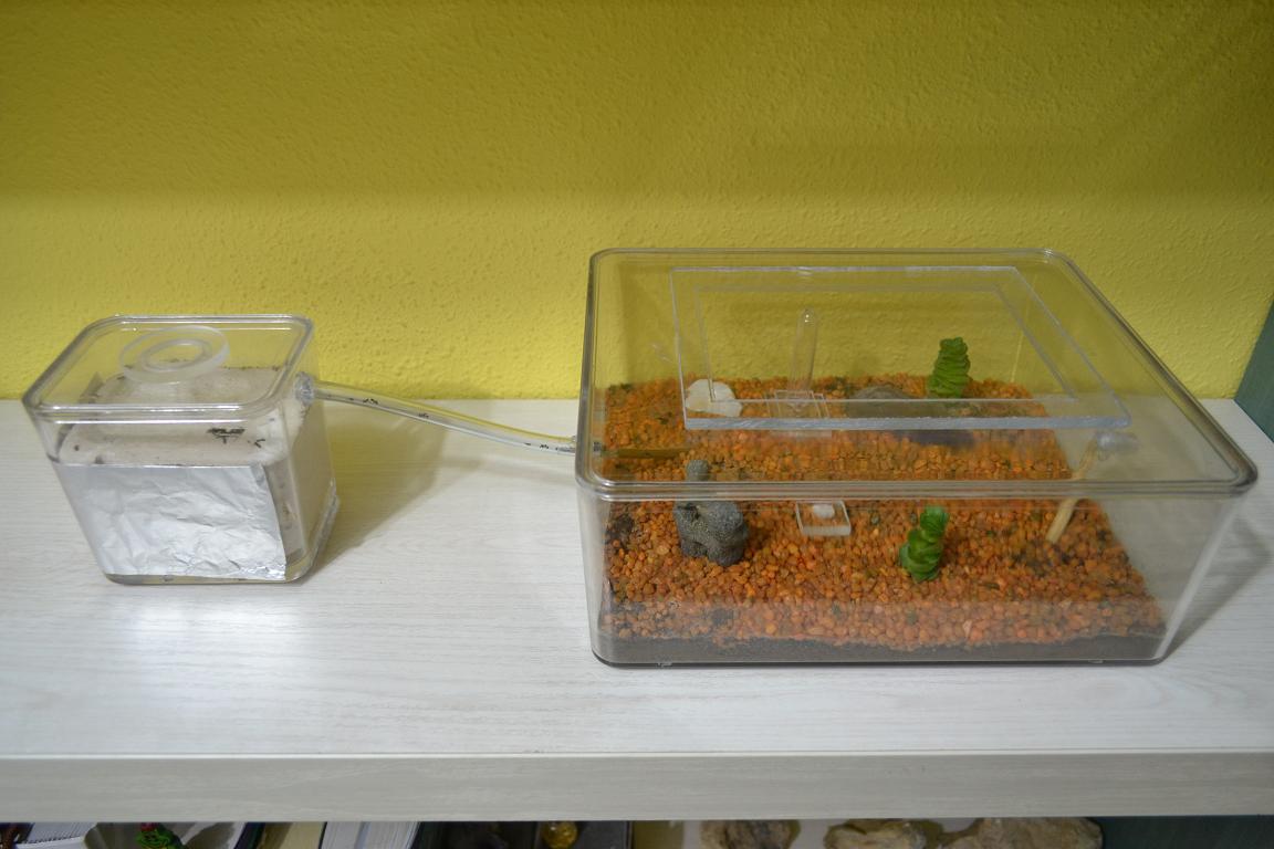 Caja forrajeo