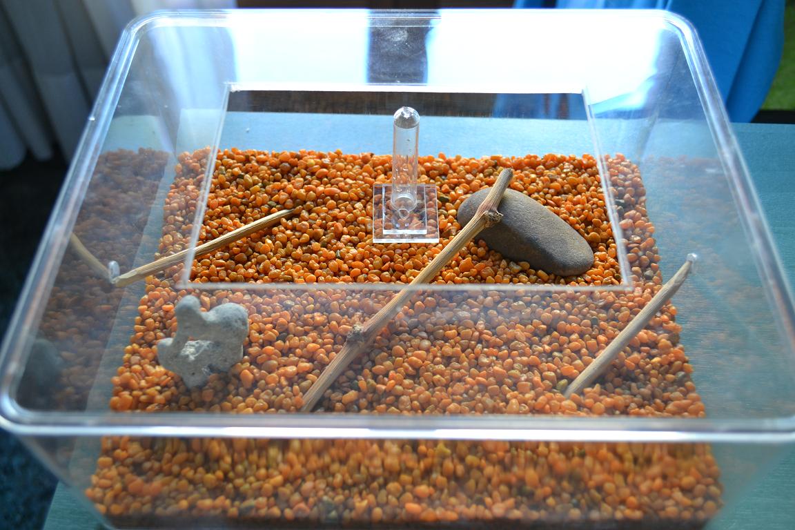 Caja de forrajeo