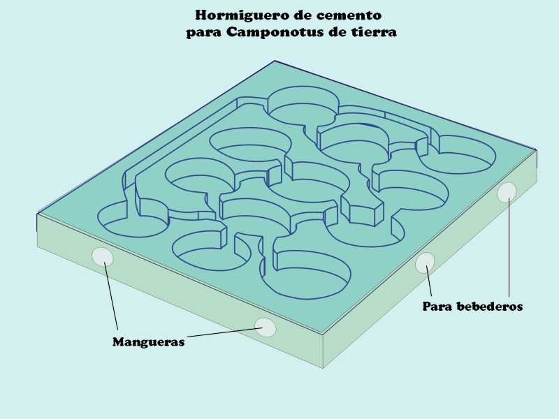 De cemento_1