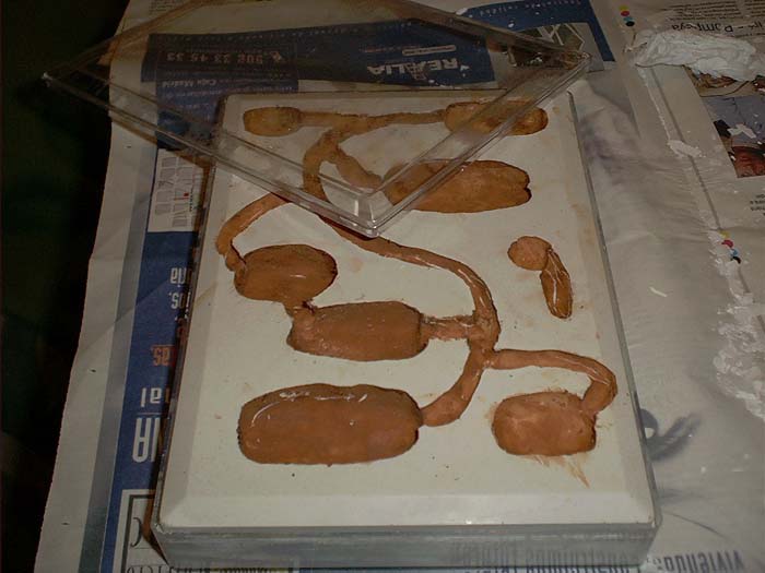 construccion4
