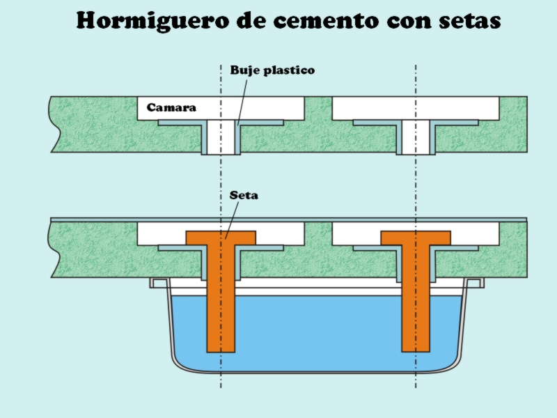 HC2_1