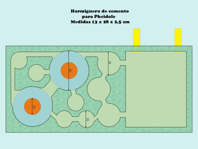 HC2_4
