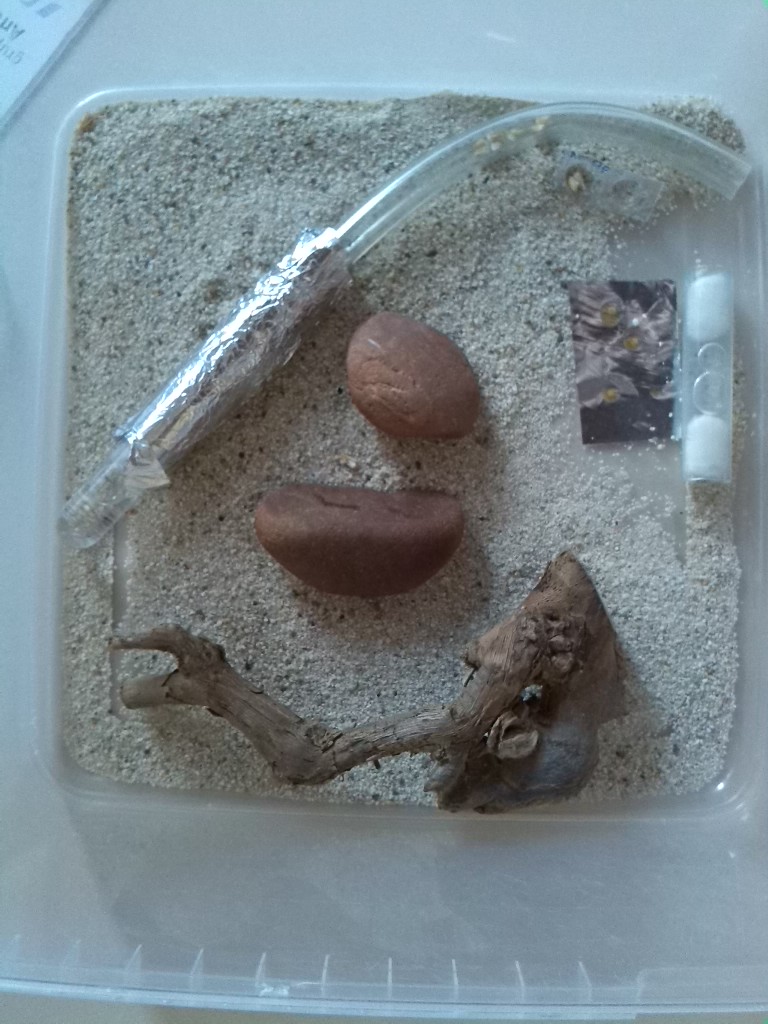 Kappa,Ensayo+Caja,Interior