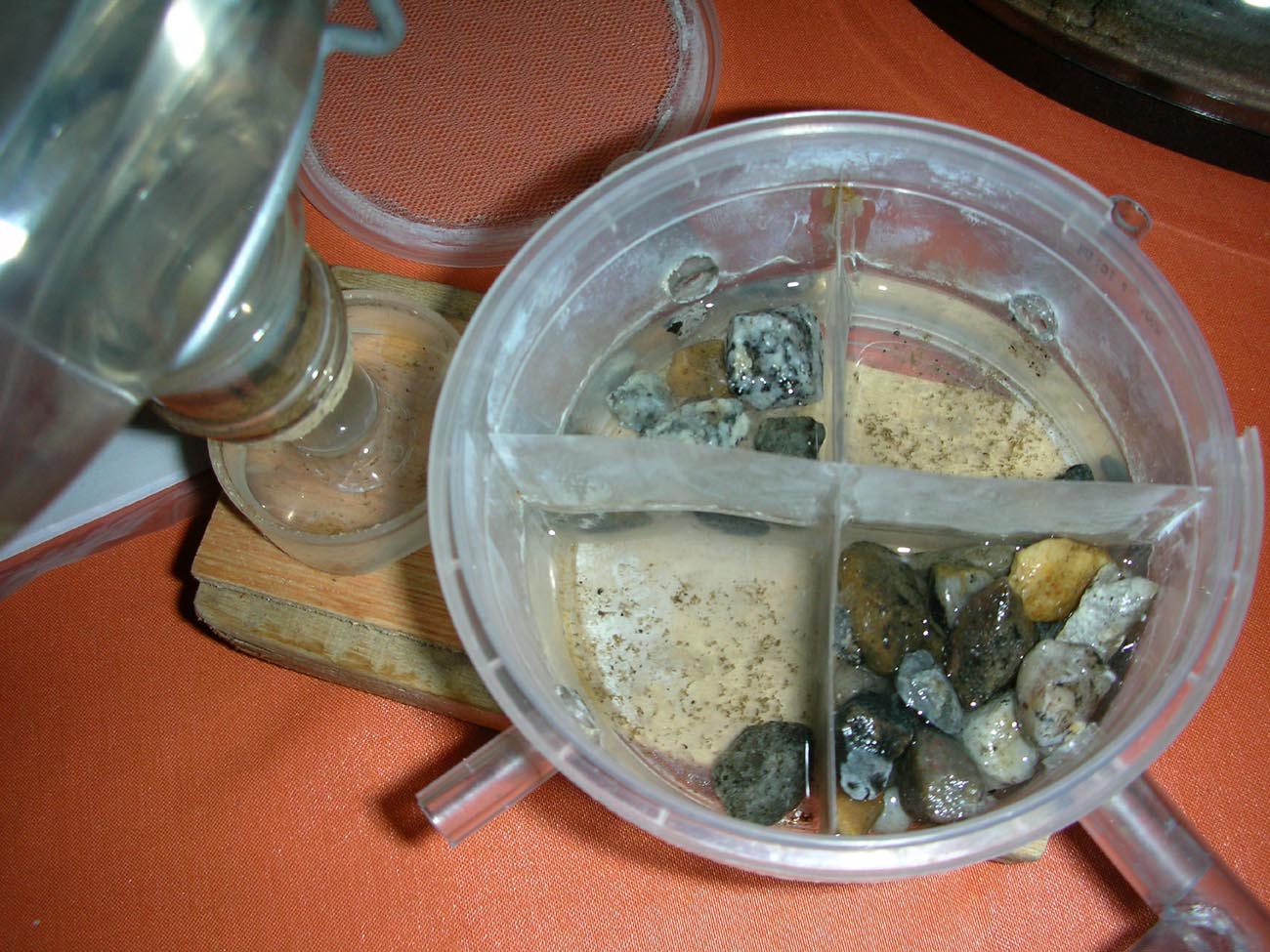 Dispensador de agua1