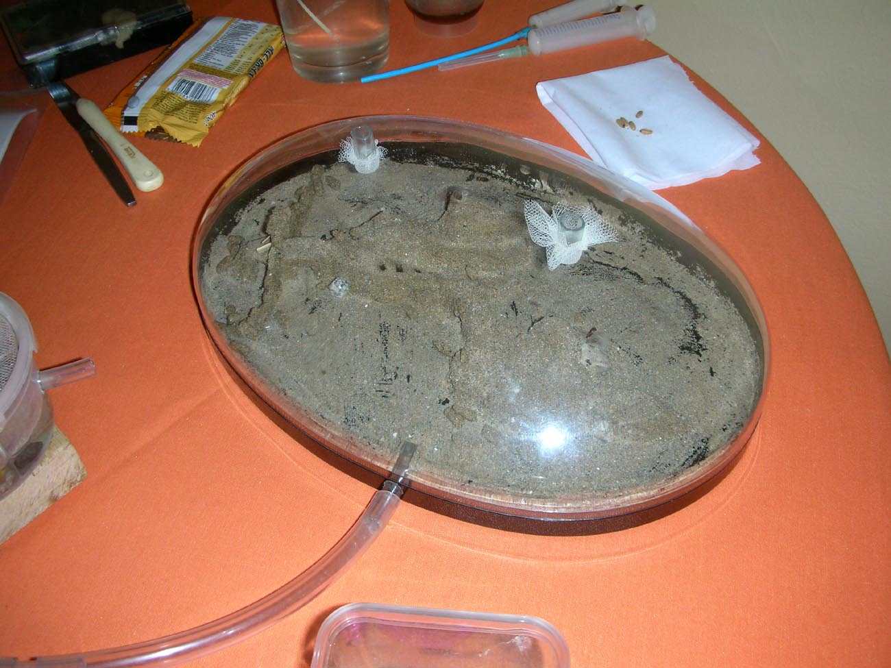 Caja de forraje1