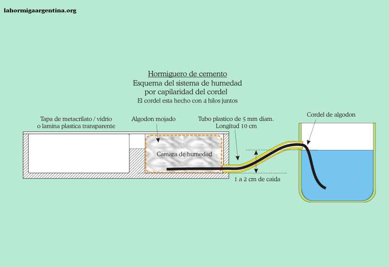 Nuevo esquema de humedad