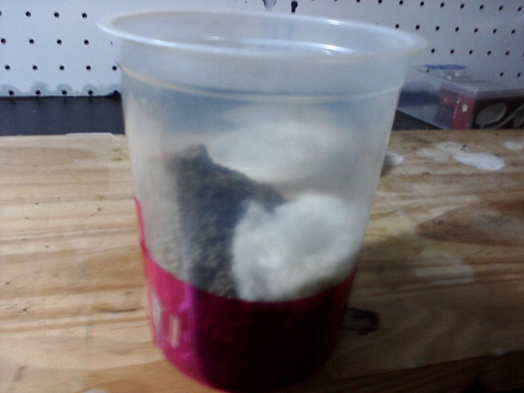 hormiguero solenopsis