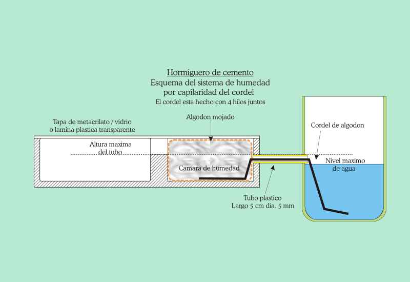 Esquema de humedad