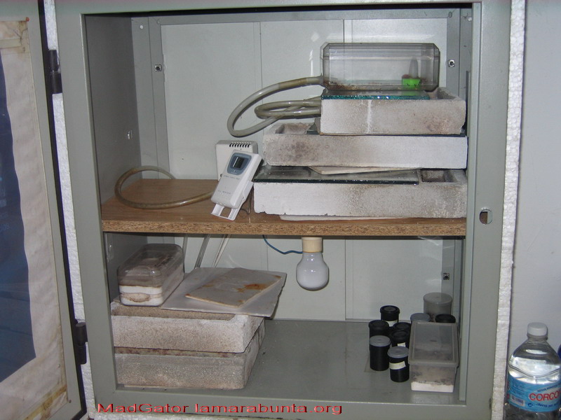 comoestan2