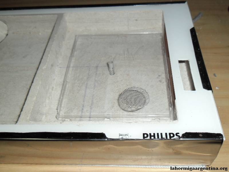 Hormi_bergi_philips