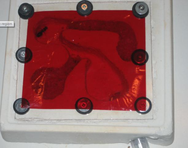 nido en cemento blanco 1.2
