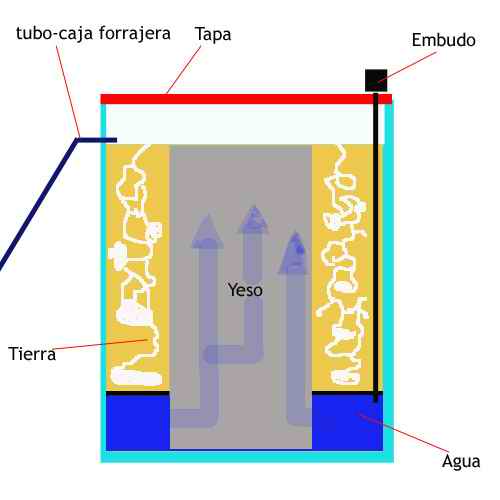 modelo de edhelorn