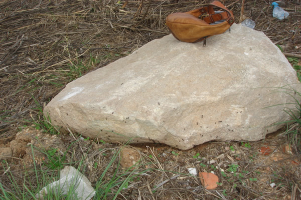 Piedra de unos 100 kg que mejio levantamos para ver si a�n hab�an alados en el nido de M. barbarus (Montju�c, Barcelona) 22.09.06  (s� que hab�a)