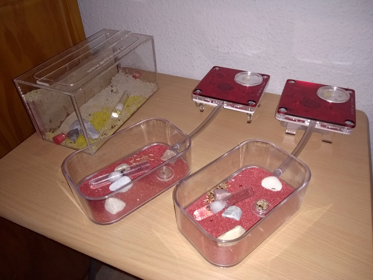 La mesa de las Messor