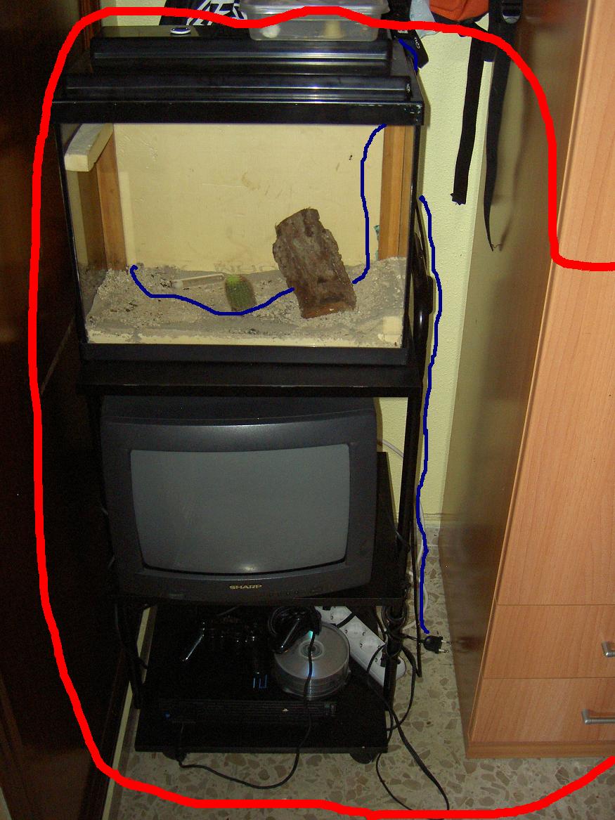 Fuga en mi habitacion